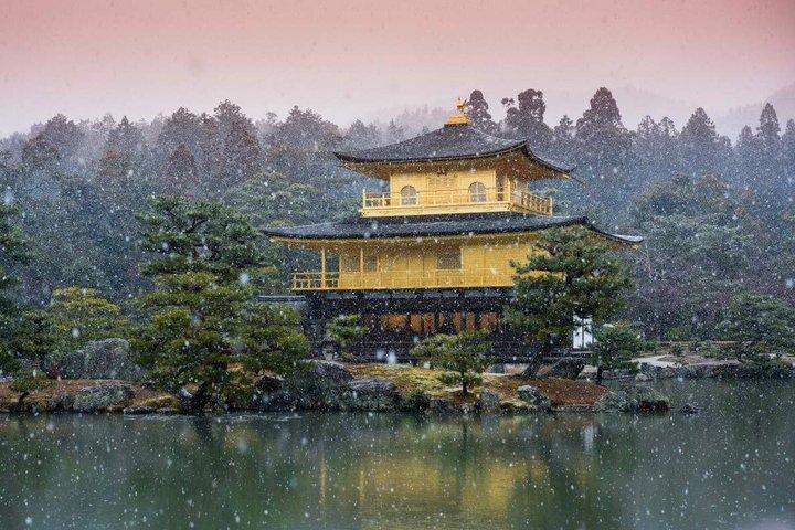 お寺と抹茶体験で京都と宇治の世界遺産