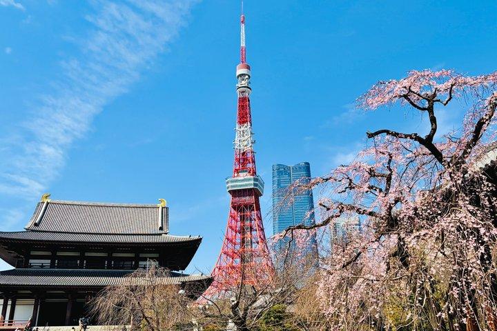 東京プライベート半日ハイライトガイド付き車でのツアー