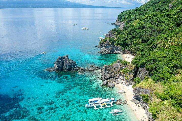 Apo Island Day Tour from Dumaguete with Lunch & Transfer
