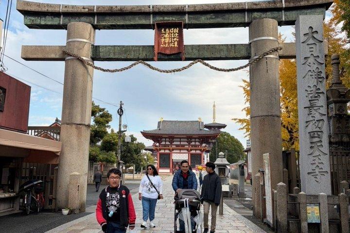 Kyoto Private Cultural and Historical Tour in Spanish