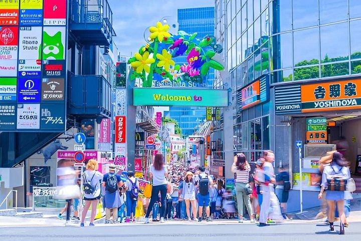 Essential tour for fashion and art in Tokyo for 6 hours with local lunch