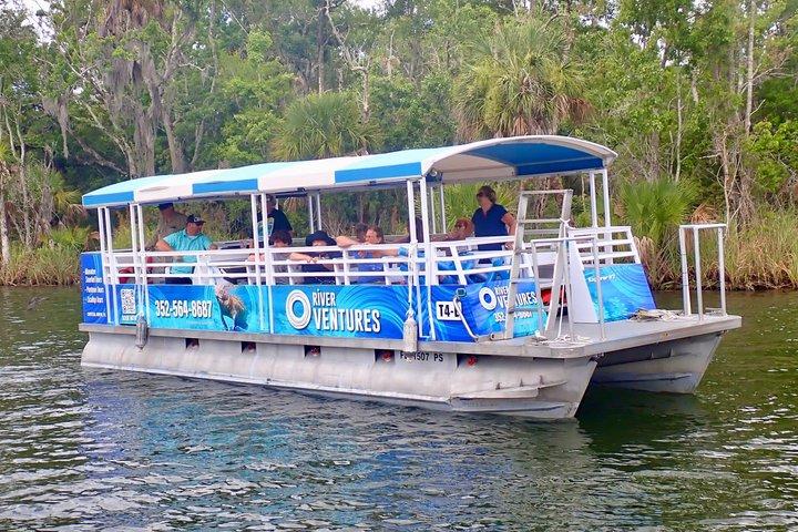 Visite en bateau de Crystal River Manatee Viewing & Sightseeing