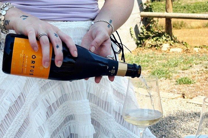 Private Montserrat Tour and Winery With Brunch From Barcelona