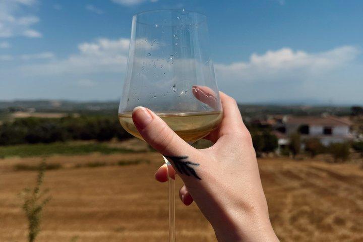 Private Montserrat Tour and Winery With Brunch From Barcelona