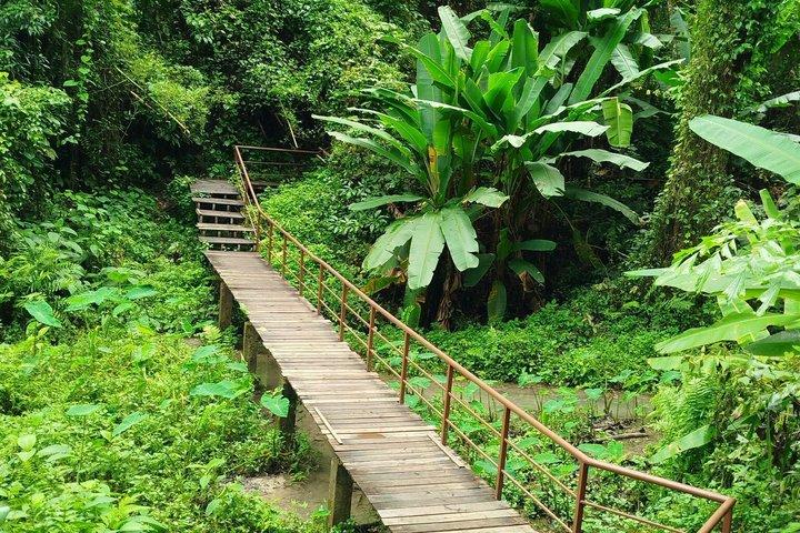 Visite Dantewada (Terra dos Anjos), Wat Ban Den, Sticky Waterfall