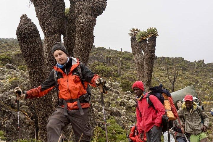 8 - Journée Kilimandjaro Lemosho Route Rejoindre le groupe par KILITA SAFARIS