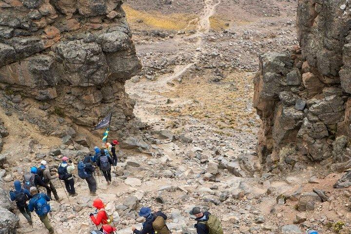 8 - Journée Kilimandjaro Lemosho Route Rejoindre le groupe par KILITA SAFARIS