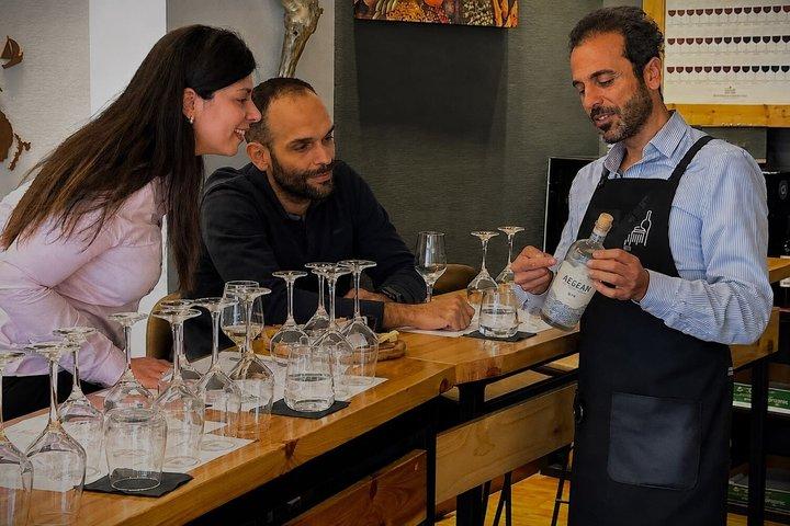 Experiência de degustação de Gin guiada em Atenas com lanches
