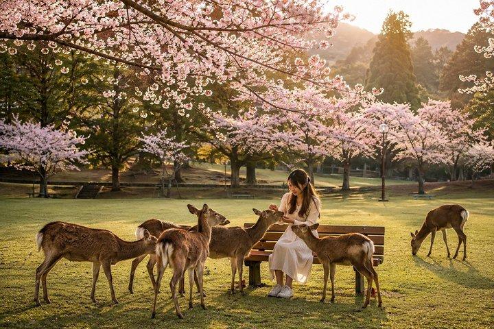 京都発、奈良日帰り文化スポット