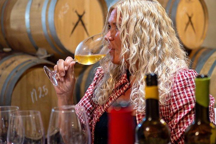 Malaga Organic Vineyard & Winery : 6 viner, 2 oljor och transfer