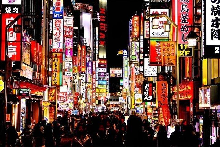Tokyo privat natttur med Van Engelska Chauffeur