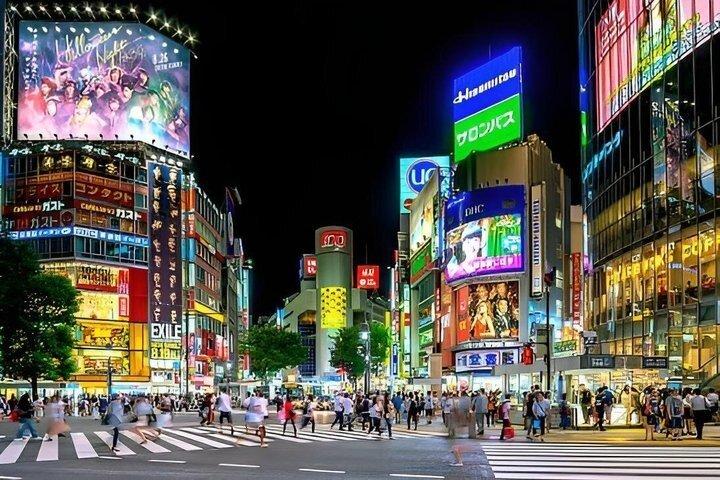 Tokyo privat natttur med Van Engelska Chauffeur