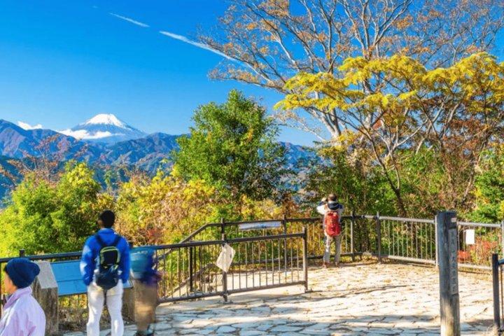 東京プライベート全日ツアーから高尾山、川越へ