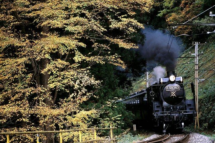 Chichibu Steam Locomotive and Nagatoro River Cruise Day Trip