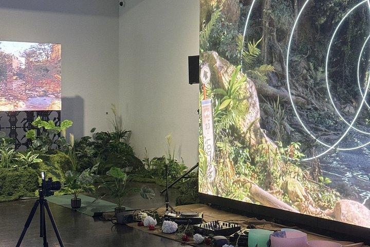 Digital skov En fordybende meditationsoplevelse