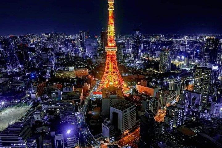 Full Day Tokyo Private Sightseeing City Tour