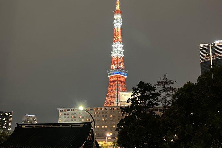 Full Day Tokyo Private Sightseeing City Tour