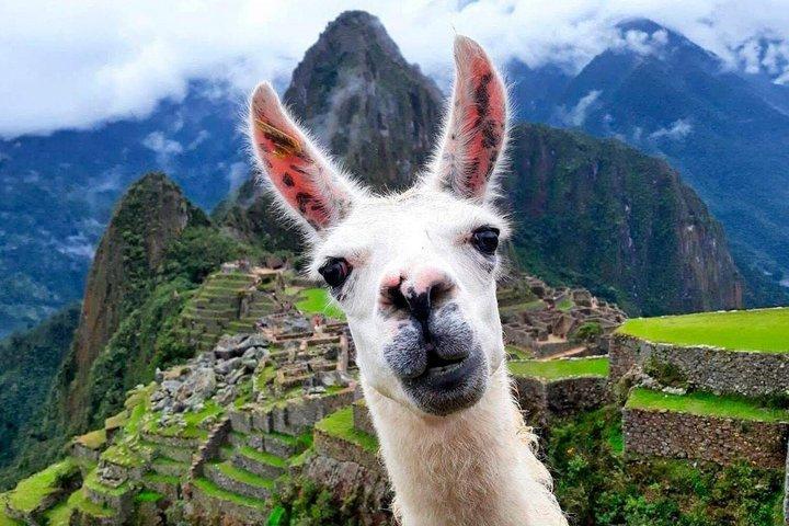 Sacred Valley til Machu Picchu Superior