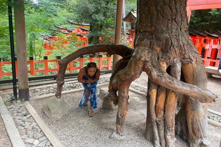 Discover Kyoto at Night by Bike