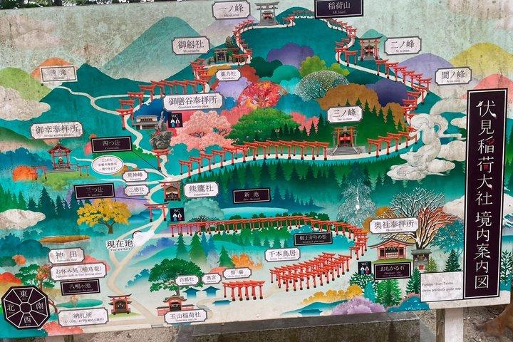 Discover Kyoto at Night by Bike