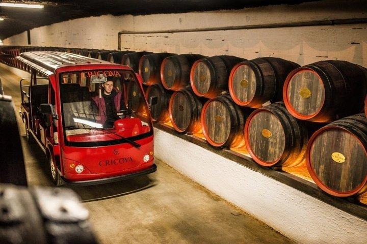 Cricova Wine Adventure & tour della città di Chisinau