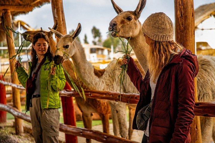 Sacred Valley VIP Tour with Maras and Moray