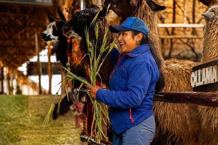 Sacred Valley VIP Tour with Maras and Moray