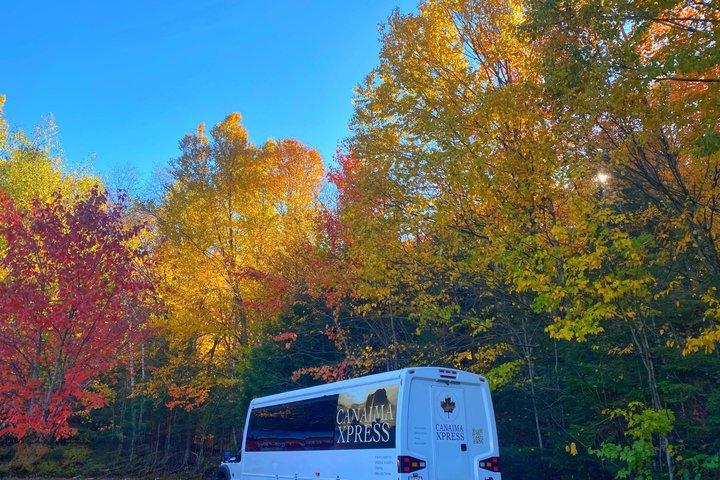 Private 23 Passenger Bus Charter with Professional Driver