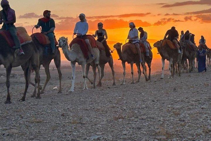 From Marrakech: Agafay Sunset, Camel Ride & Dinner