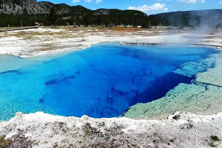 Private Yellowstone Lower Loop Experience and complimentary lunch