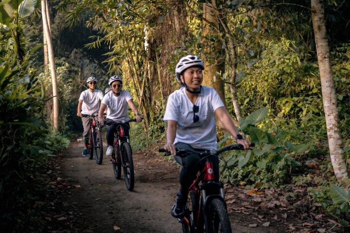 Ciclismo in discesa a Bali: Foresta di bambù, risaie e campagna