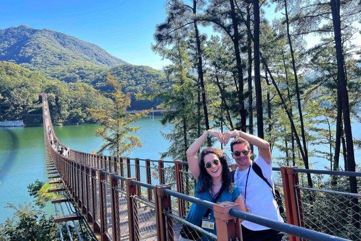DMZ-tur: Frågestund med defekt, tunnel och hängbro / Upphämtning på hotell
