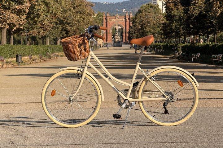 クラシック自転車とEバイクツアー