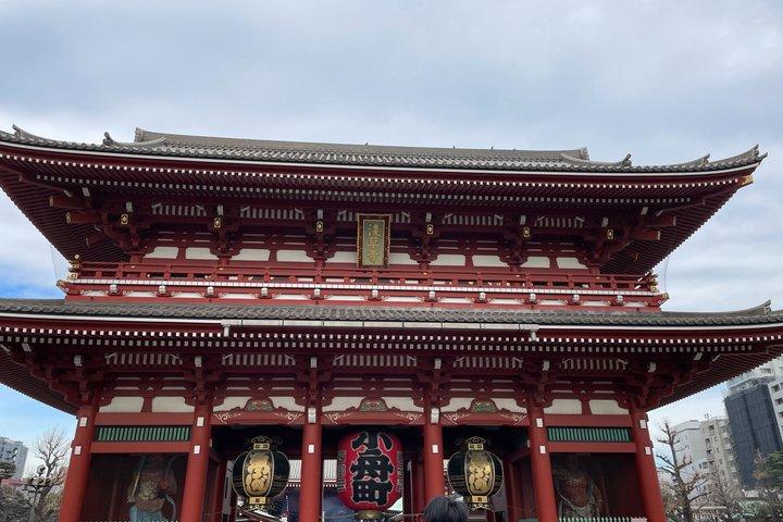フランス語を話すガイド付きの東京プライベートシティツアー