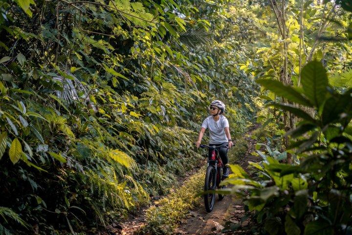 Ciclismo in discesa a Bali: Foresta di bambù, risaie e campagna
