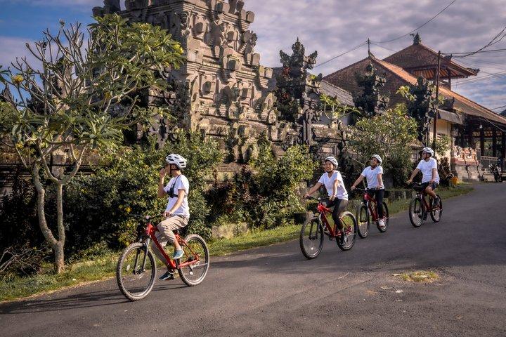 Ciclismo in discesa a Bali: Foresta di bambù, risaie e campagna
