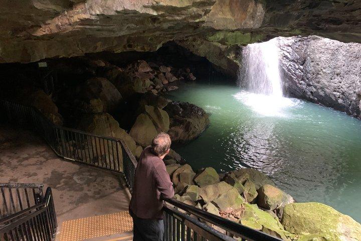 Rainforests and Waterfalls Tour from Gold Coast