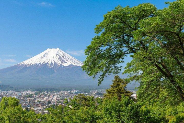 富士山・河口湖・大石公園満喫一日ツアー