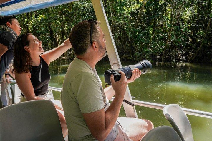 Luxe privé Daintree-ervaring vanuit Port Douglas