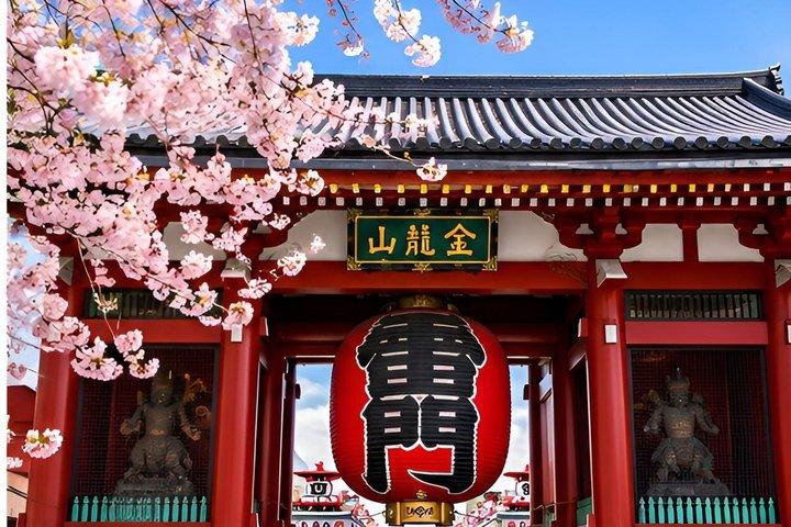 東京のハイライト 文化と象徴的なランドマーク満喫一日ツアー