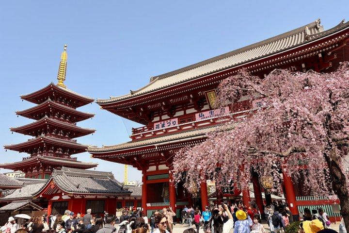 Tokyo City Highlights Tour by Minivan with Local Guide